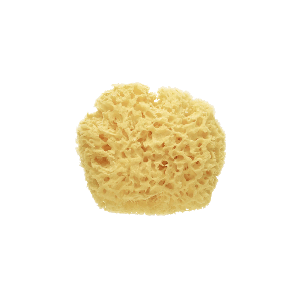 SARO | Naturschwamm Premium - ADViKiDS