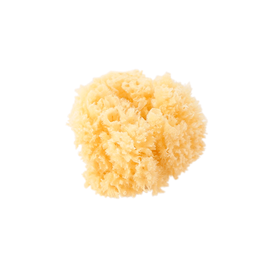 SARO | Naturschwamm - ADViKiDS