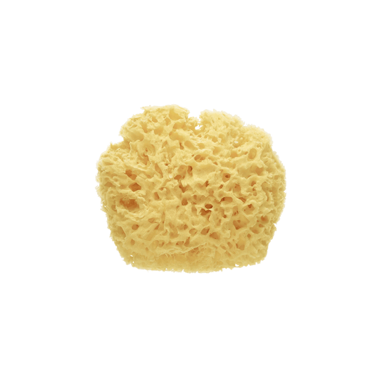 SARO | Naturschwamm Premium - ADViKiDS